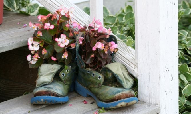 Botas Macetero