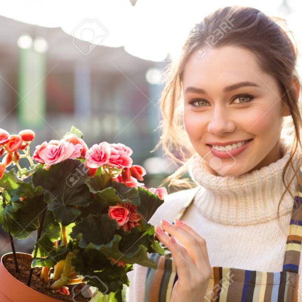 Cheerful beautiful woman florist holding flowering begonia in garden center